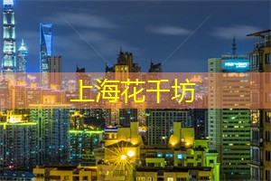 上海新茶工作室联系方式：走进童话世界：探秘上海后花园的奇幻乐园！