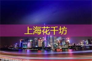爱上海419论坛：上海后花园之旅：探索城市外一望无际的绿色宝藏！