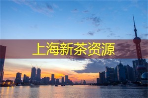 爱上海：仿佛是银河系倒映在大地上