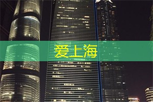 爱上海官网：车厢里的人们