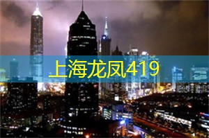 上海品茶工作室：深夜食街：探索上海的美味之旅
