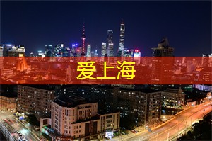上海娱乐网：体验上海的跟团游活动