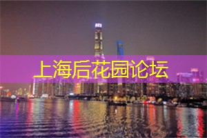 上海花千坊：人文气息浓郁的夜间导览
