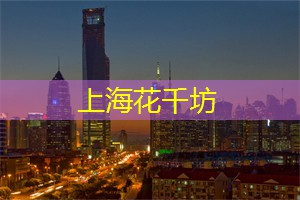 上海娱乐网：上海的调酒艺术与酒品品鉴